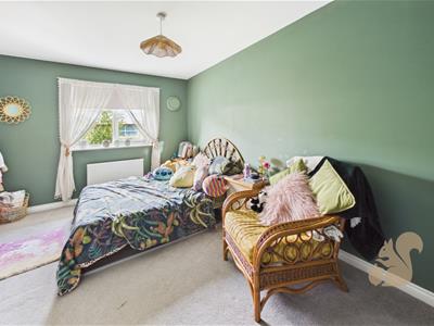 Picture 17